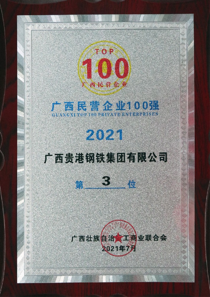 2021年廣西民營企業(yè)100強第3位.jpg