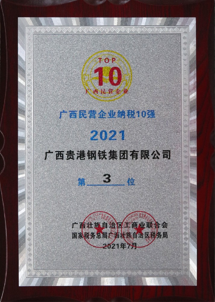 2021年廣西民營企業(yè)納稅10強(qiáng)第3位.jpg